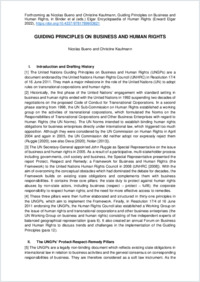 Guiding Principles on Business and Human Rights_AM